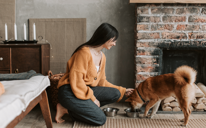 Casa vacanze pet friendly: conviene accettare animali domestici?